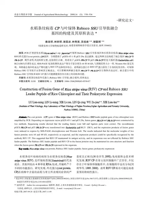 水稻条纹病毒CP与叶绿体Rubisco SSU引导肽融合基因的构建及原核表达