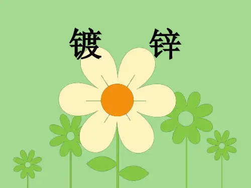 镀锌工艺学课件