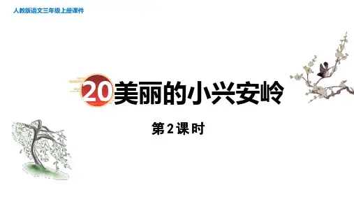 部编版语文三年级上册20《美丽的小兴安岭》第2课时  课件