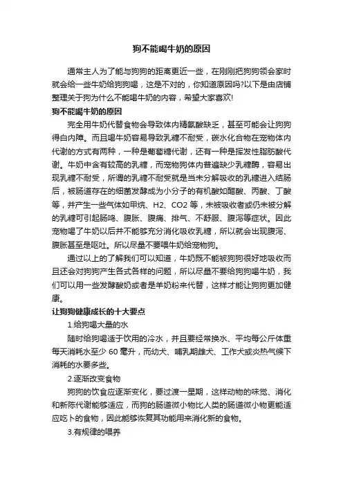 狗不能喝牛奶的原因