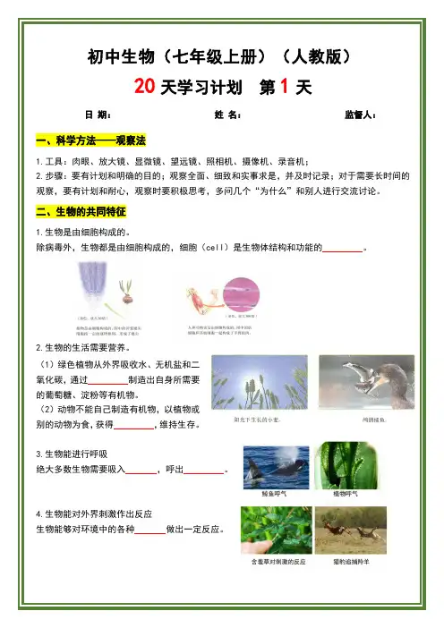 人教版 七上生物-知识点-背记默写