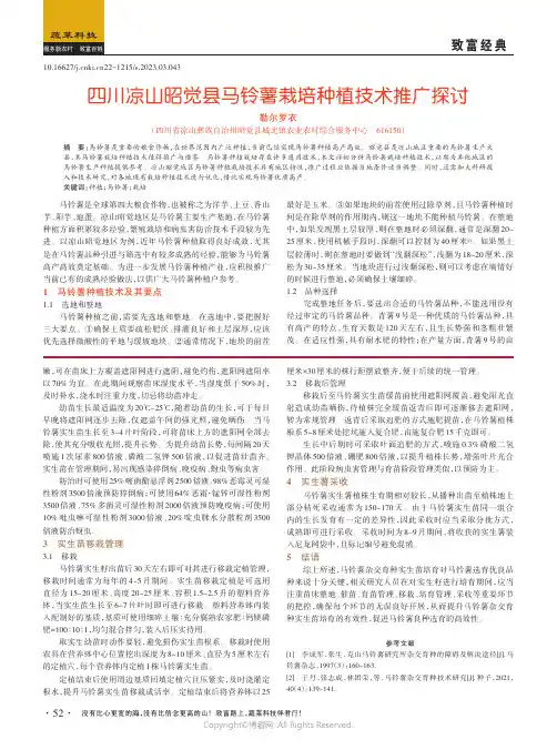 四川凉山昭觉县马铃薯栽培种植技术推广探讨