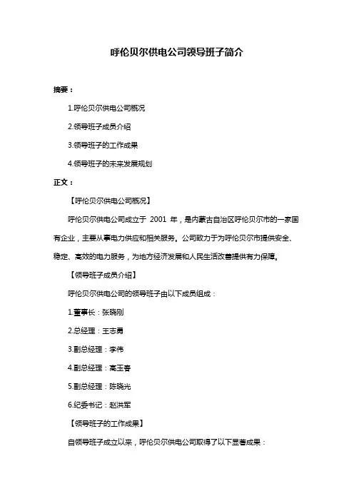 呼伦贝尔供电公司领导班子简介
