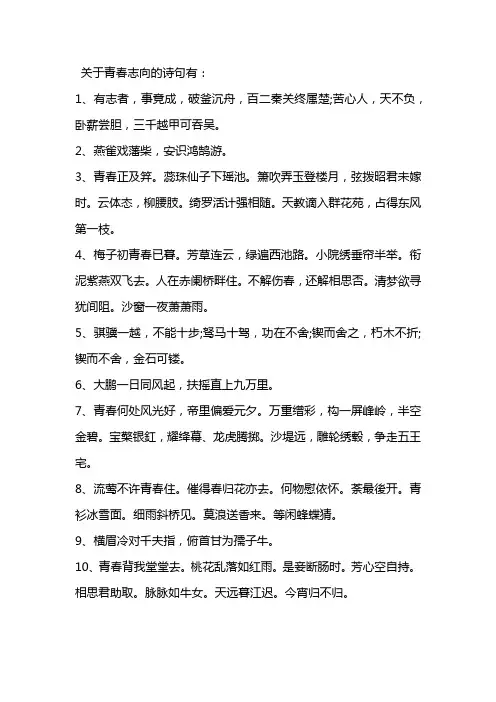 关于青春志向的诗句