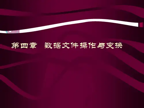 spss第四章数据文件的操作与变换