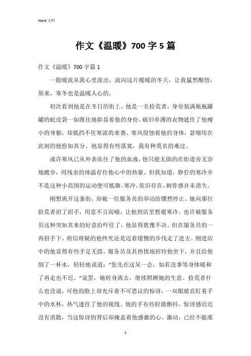 作文《温暖》700字5篇