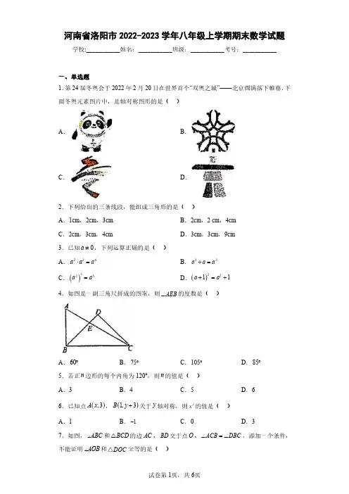 河南省洛阳市2022-2023学年八年级上学期期末数学试题(含答案解析)