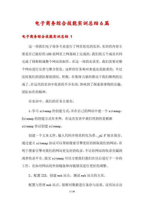 电子商务综合技能实训总结6篇