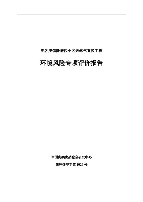 环境风险专项评价报告