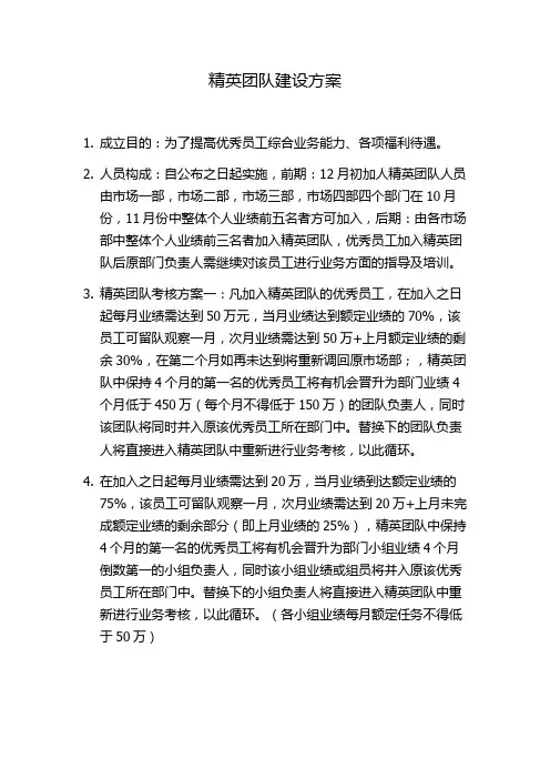 精英团队建设方案
