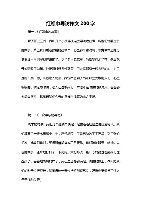 红领巾寻访作文200字