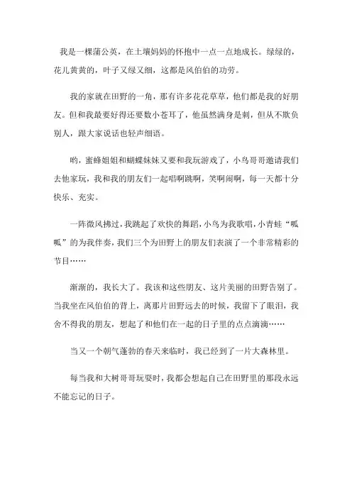 我是一棵蒲公英