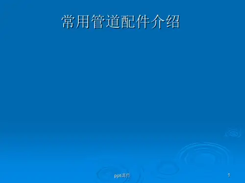 常用管件型号标注方法 pt课件