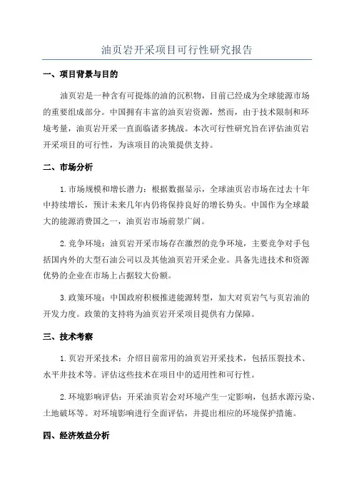 油页岩开采项目可行性研究报告
