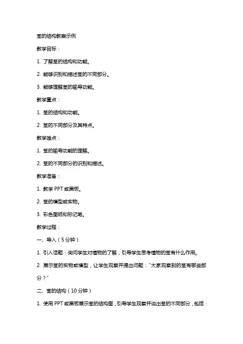 茎的结构教案示例