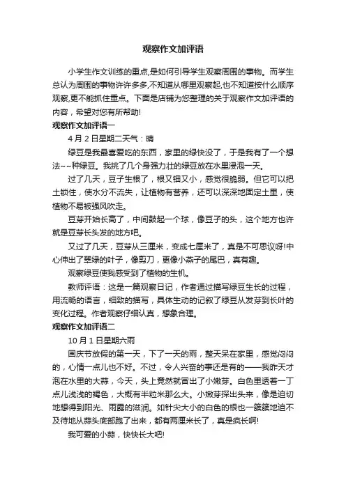 观察作文加评语