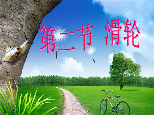 滑轮(PPT课件(人教版))共22张