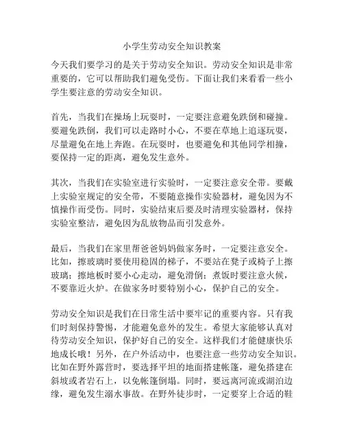 小学生劳动安全知识教案