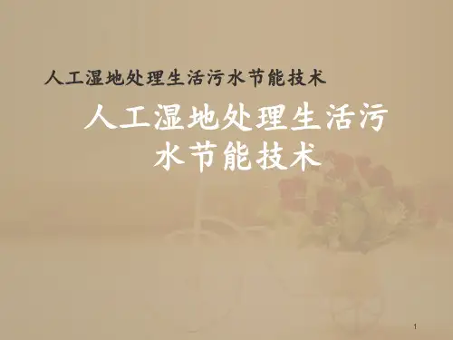 人工湿地处理污水节能技术  ppt课件