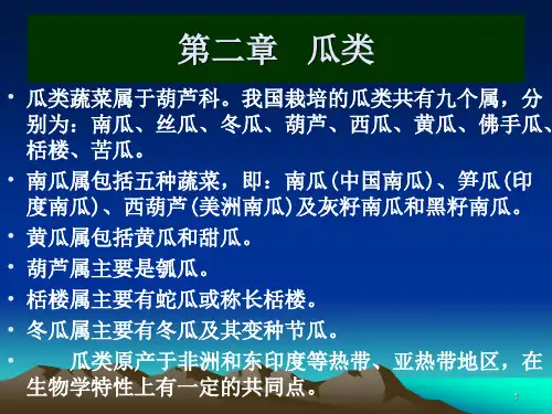 瓜类ppt课件