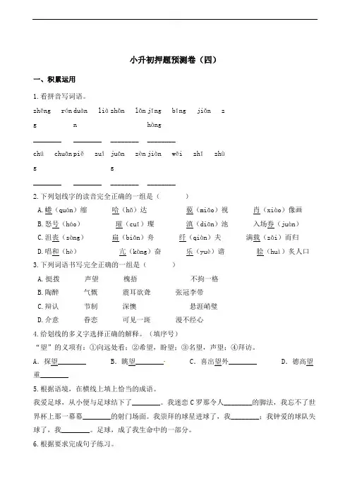 六年级下册语文试题-小升初押题预测卷(四) 通用版(含解析)