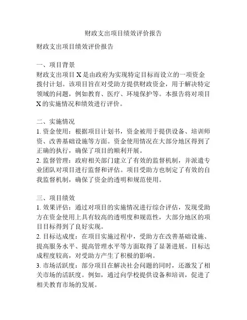财政支出项目绩效评价报告