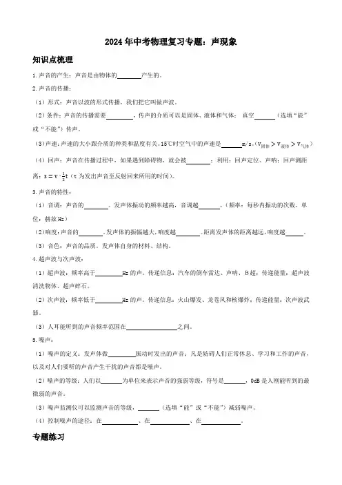 2024年中考物理复习专题：声现象(含答案)