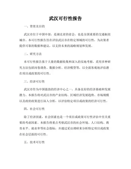 武汉可行性报告