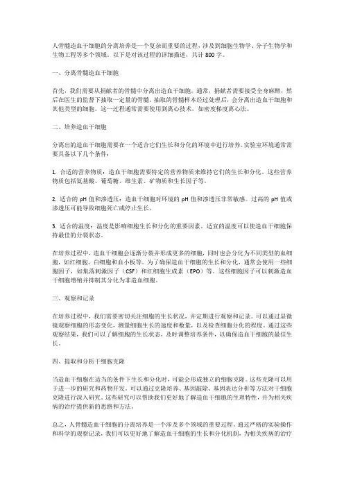 人骨髓造血干细胞的分离培养
