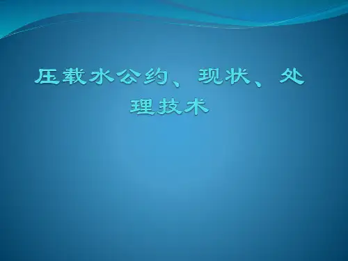 压载水公约及压载水处理办法