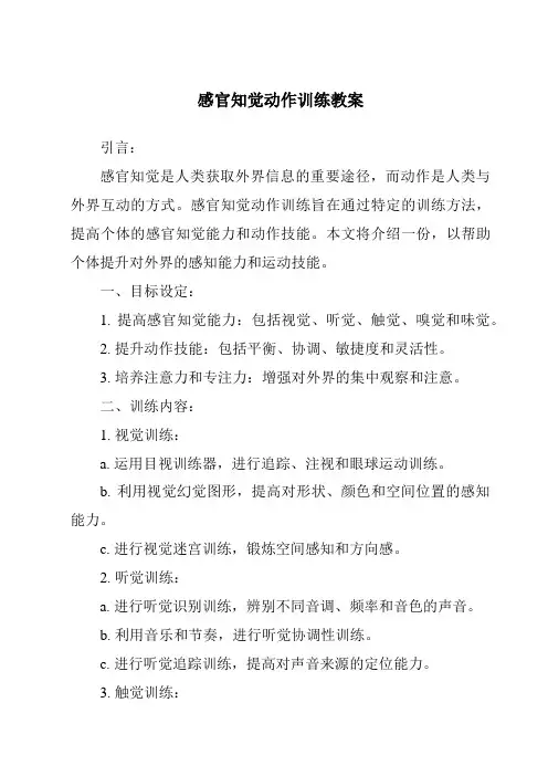 感官知觉动作训练教案