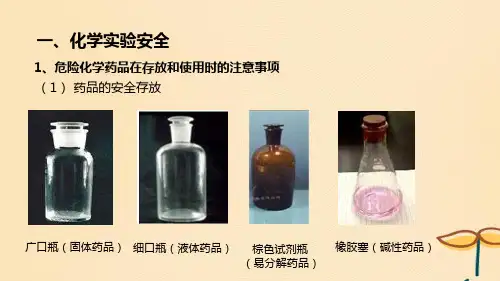 2018年秋高中化学第一章从实验中学化学课件新人教版必修1