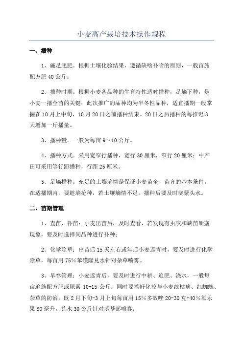 小麦高产栽培技术操作规程