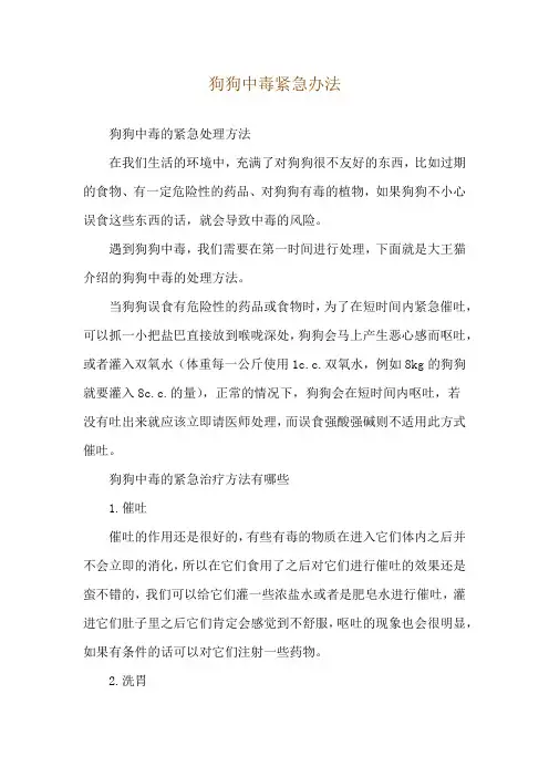 狗狗中毒紧急办法
