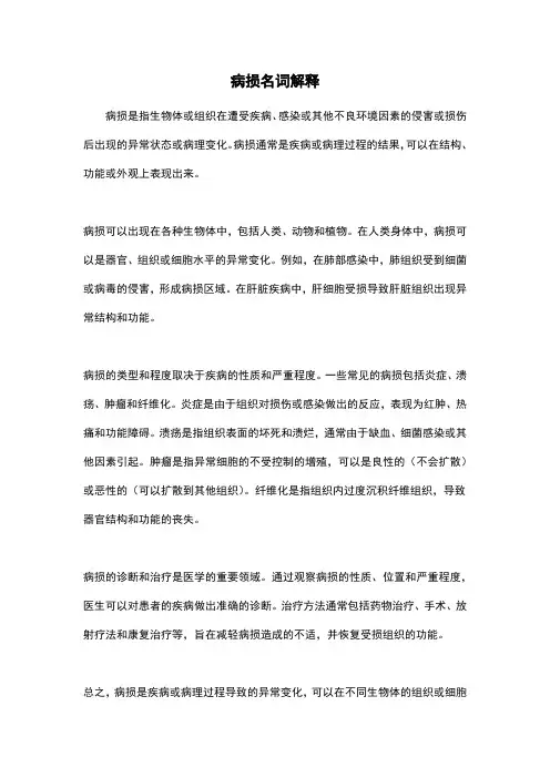 病损名词解释