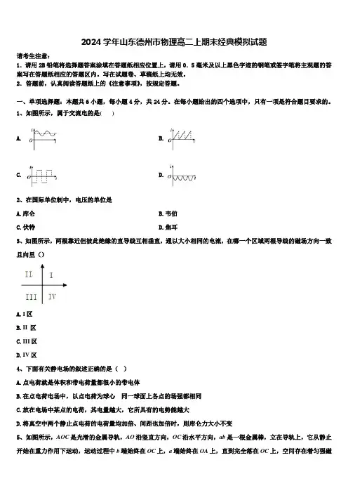2024学年山东德州市物理高二上期末经典模拟试题含解析