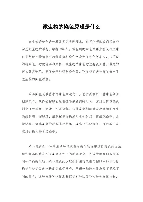 微生物的染色原理是什么