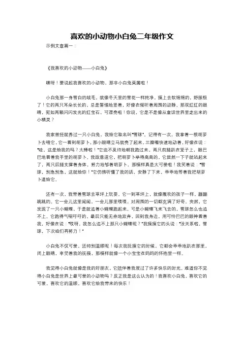 喜欢的小动物小白兔二年级作文