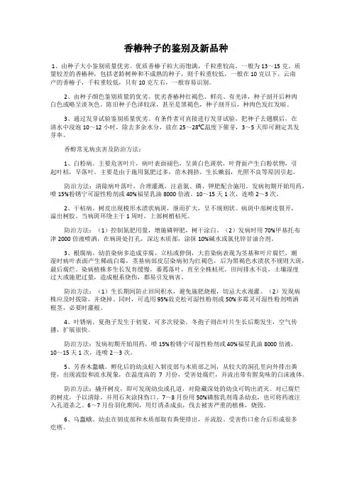 香椿种子的鉴别及新品种