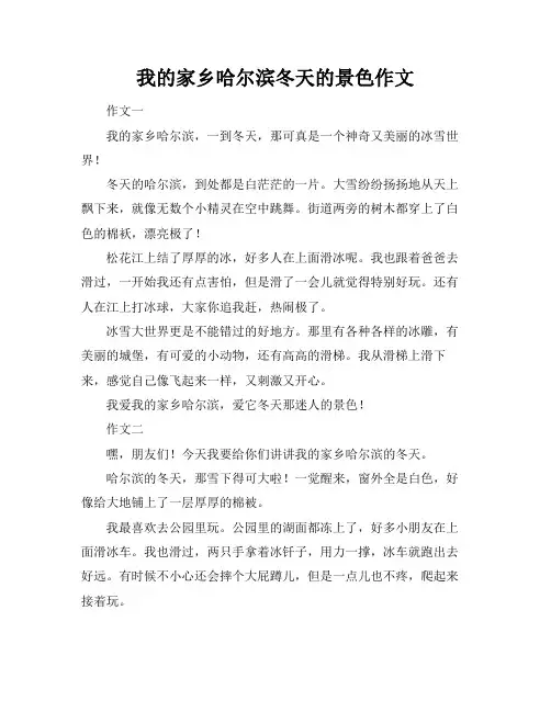 我的家乡哈尔滨冬天的景色作文