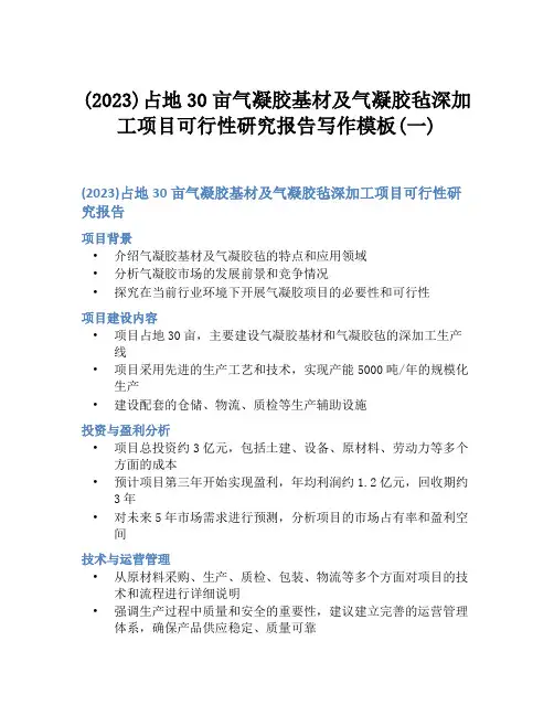 (2023)占地30亩气凝胶基材及气凝胶毡深加工项目可行性研究报告写作模板(一)