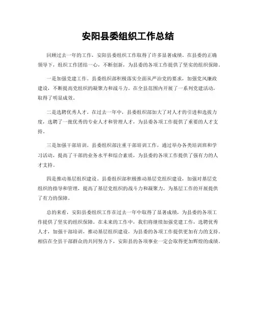 安阳县委组织工作总结