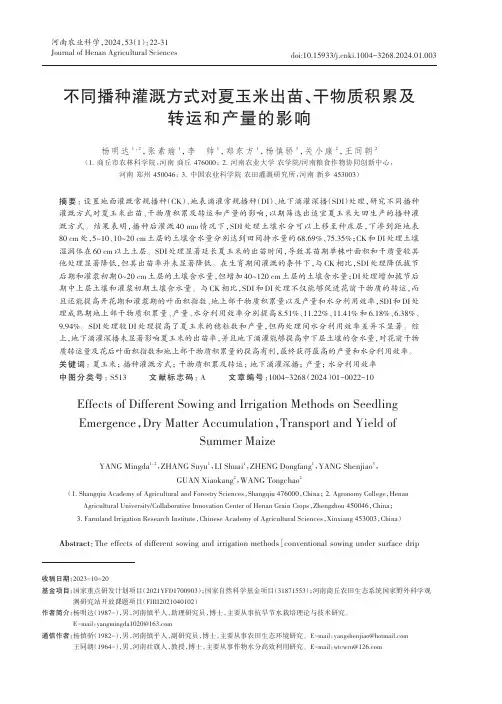 不同播种灌溉方式对夏玉米出苗、干物质积累及转运和产量的影响