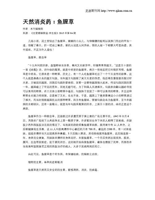天然消炎药：鱼腥草