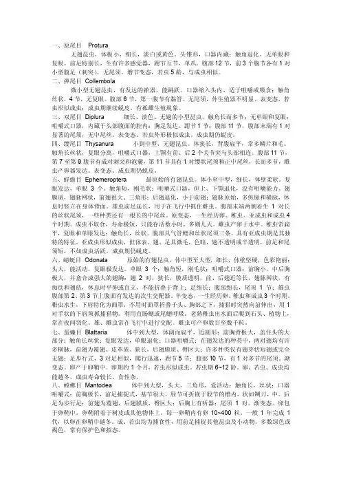 各个目昆虫鉴别