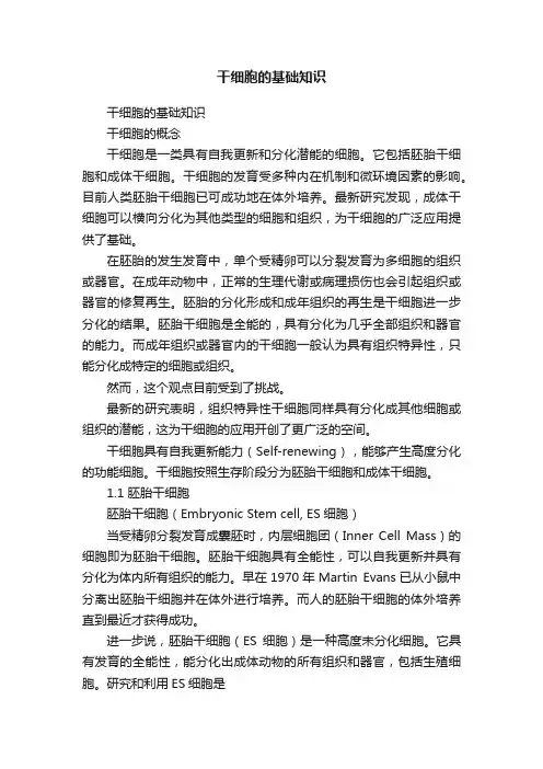干细胞的基础知识