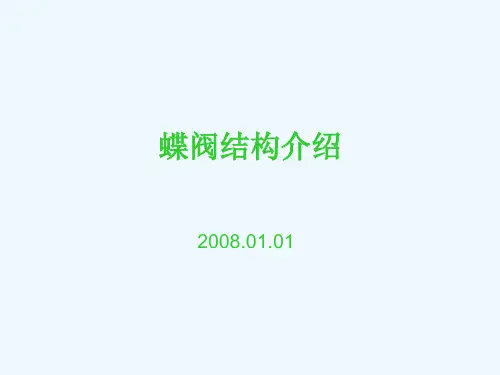 蝶阀结构介绍