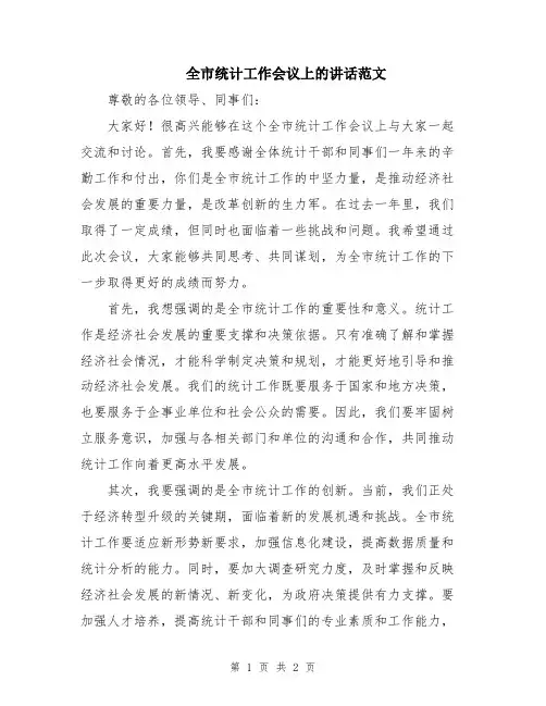 全市统计工作会议上的讲话范文