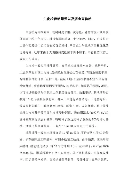 白皮松栽培繁殖以及病虫害防治
