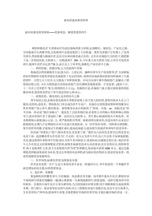 新农村建设典型材料 